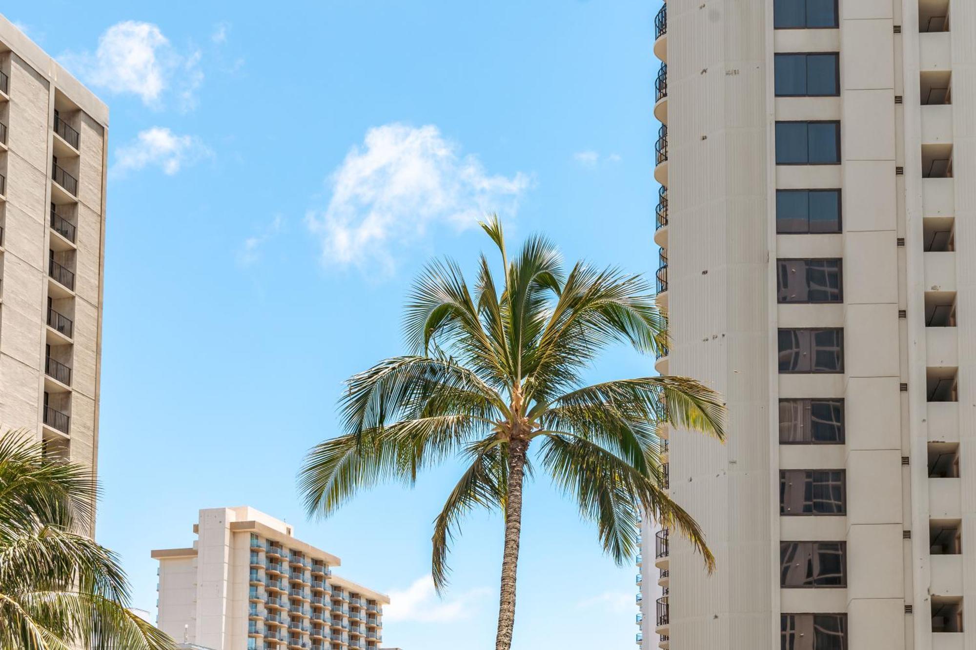 Cozy Waikiki Getaway, Stroll To Beach With Free Parking هونولولو المظهر الخارجي الصورة