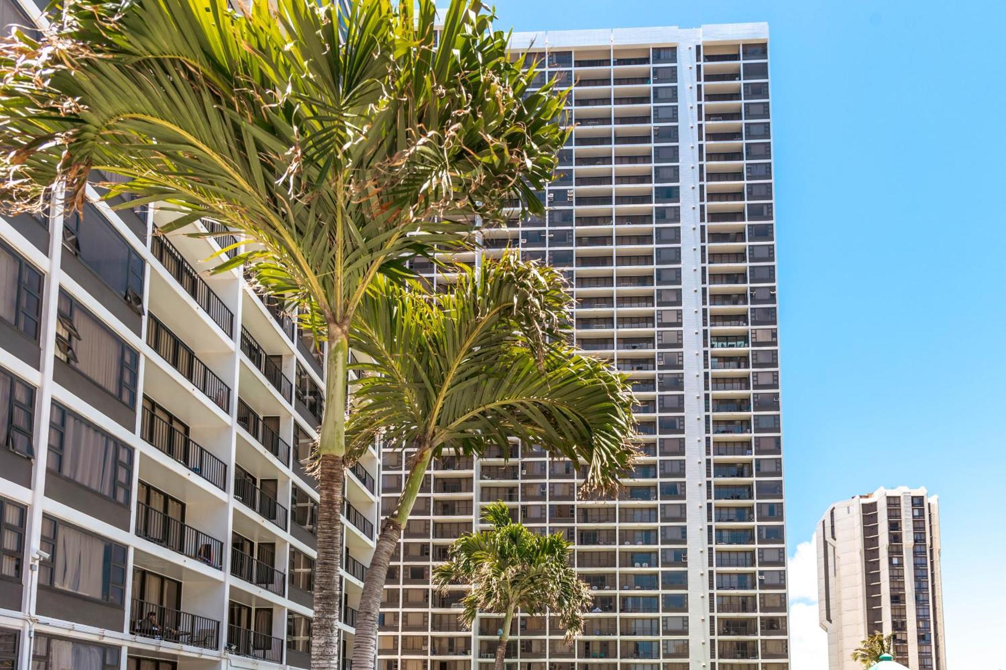Cozy Waikiki Getaway, Stroll To Beach With Free Parking هونولولو المظهر الخارجي الصورة