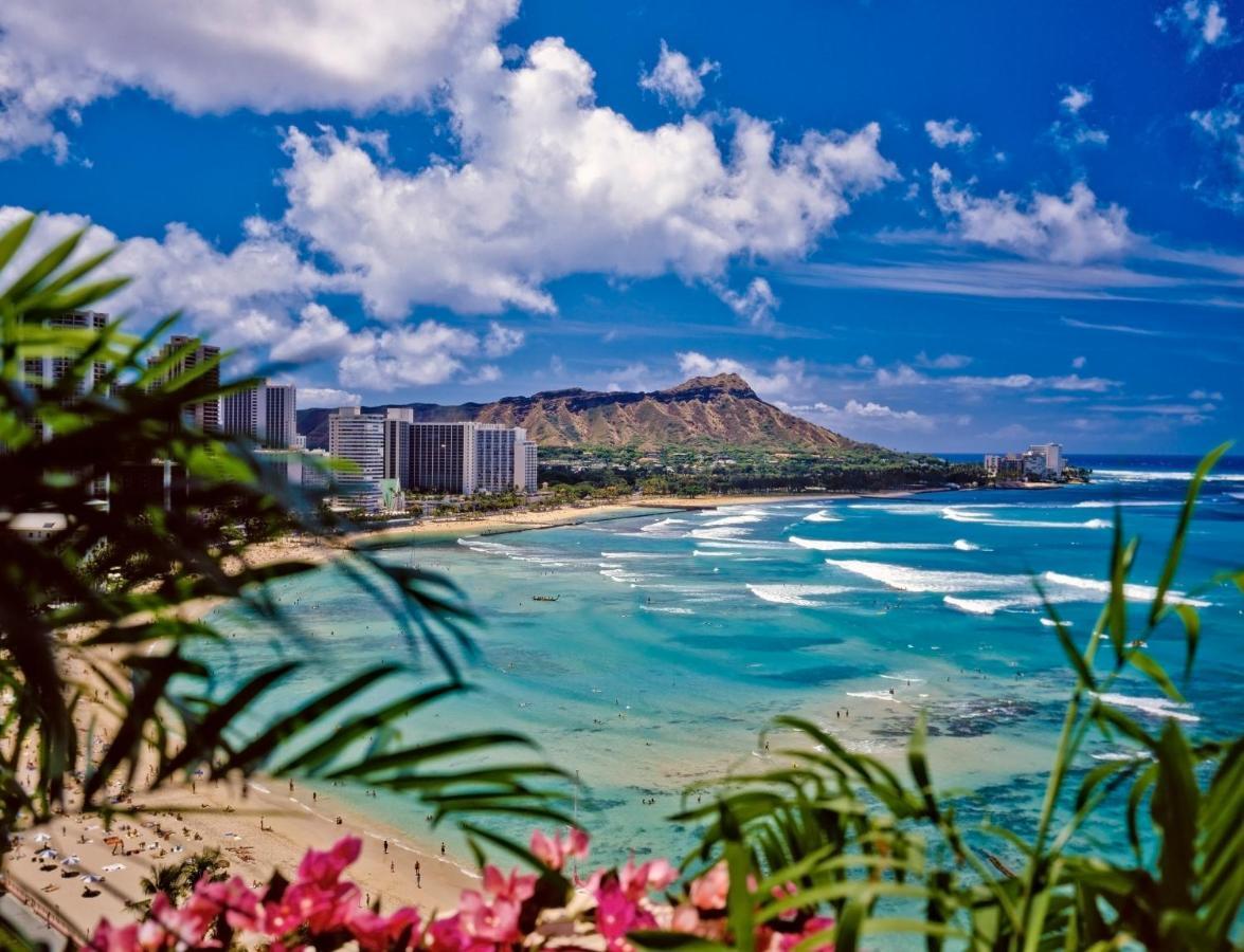 Cozy Waikiki Getaway, Stroll To Beach With Free Parking هونولولو المظهر الخارجي الصورة