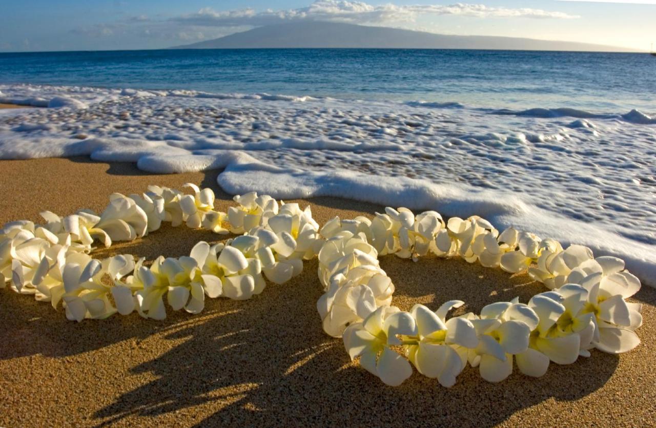 Cozy Waikiki Getaway, Stroll To Beach With Free Parking هونولولو المظهر الخارجي الصورة